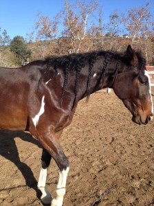 Wiley on some of his first lift attempts.