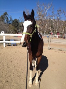 Step back and wait a few seconds.