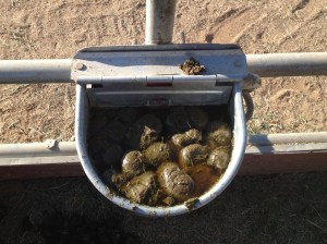 What does this mean???