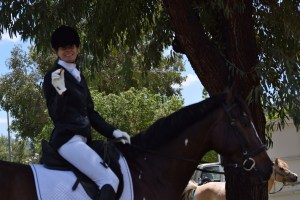Dressage show fun